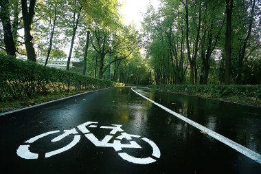 yaz parkı manzara / mevsimlik görünümü, yaz aylarında yeşil ağaçlar, konsept doğa yürüyüşü, ekoloji, eko