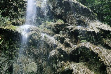 ungle şelale filipinler / nehir kayalardan düşüyor, Filipin adalarında şelale, Asya'da turizm