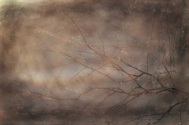 yapraksız sonbahar dalları arka plan / soyut mevsimsel doğa arka plan, çıplak dalları, yaprakları etrafında uçtu, sonbahar