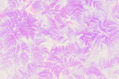 pembe tonlama arka plan, soyut sıradışı bahar arka plan yaprakları