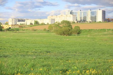 banliyölerinde sarı çiçekler ile karahindiba alan şehir / soyut yaz peyzaj alanı