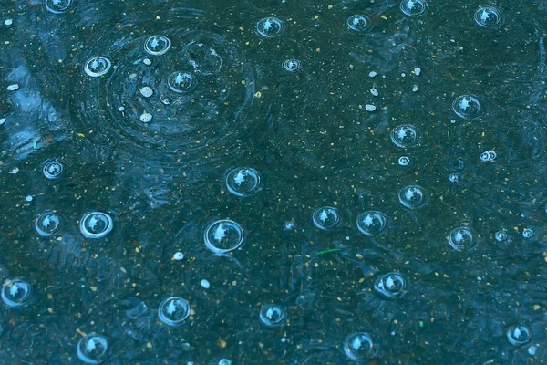 Fundo Azul Poça Chuva Gotas Chuva Círculos Uma Poça Bolhas — Fotografia de Stock