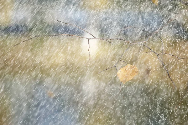 秋の雨の背景が落ちる 雨天の抽象的な秋の風景 公園の季節の風景 — ストック写真