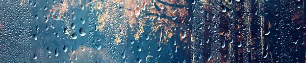 Regen Fenster Herbst Park Zweige Blätter Gelb Abstrakt Herbst Hintergrund — Stockfoto
