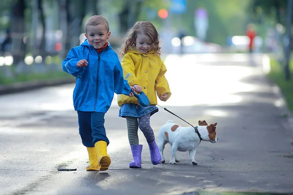 子供の犬の秋 2人の子供 秋の公園で小さな犬と一緒に歩く男の子と女の子 — ストック写真