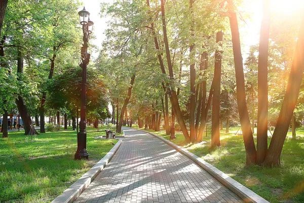 景观在夏季森林 绿树夏季景观 在森林徒步旅行 阳光明媚的一天 — 图库照片