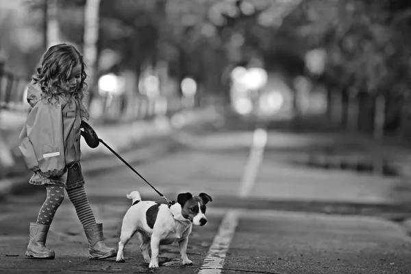 Malá Holčička Psem Chlapák Russella Dětském Přátelství Mazlíček Malý Pes — Stock fotografie
