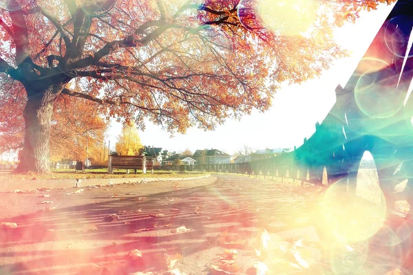 Herbstlandschaft Park Saisonal Gelbe Landschaft Sonniger Park Mit Abgefallenen Blättern — Stockfoto