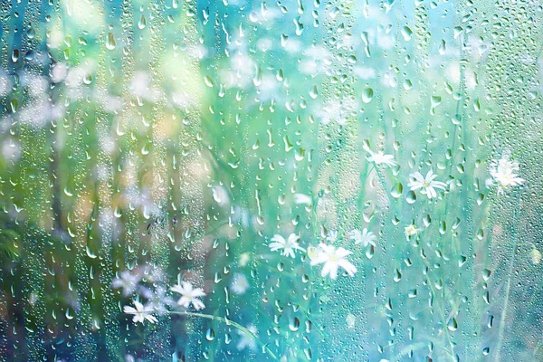 夏季雨湿玻璃 抽象背景景观在雨天窗外模糊背景 — 图库照片