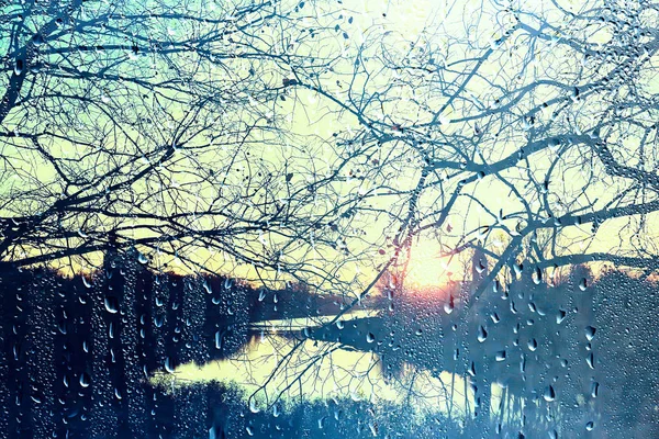 Regen Fenster Herbst Park Zweige Blätter Gelb Abstrakt Herbst Hintergrund — Stockfoto