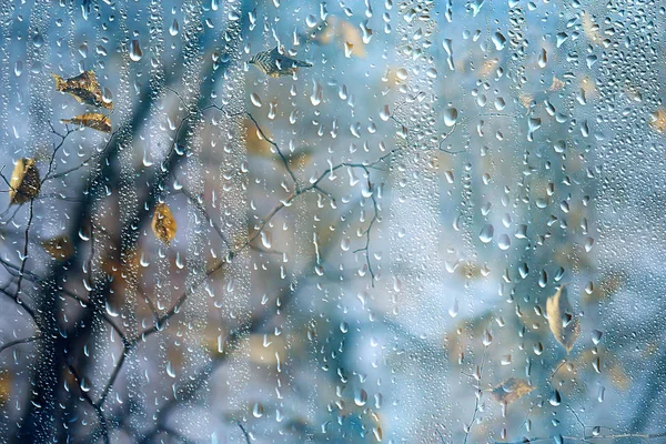 Deszcz Okno Jesień Park Oddziałów Pozostawia Żółty Streszczenie Jesienny Tło — Zdjęcie stockowe