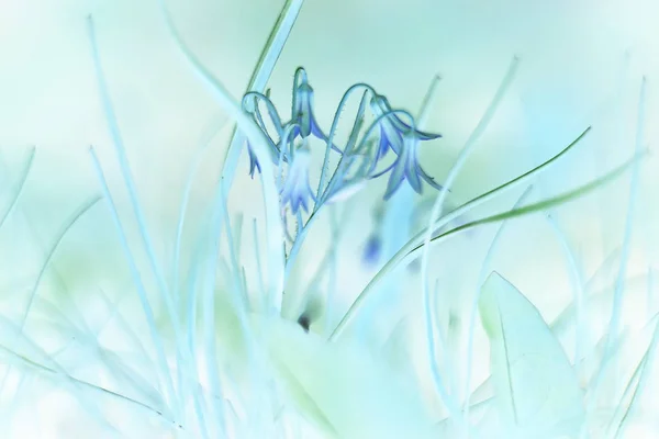 Листя Синього Вінтажного Тонування Абстрактний Фон Природа Лісова Трава — стокове фото