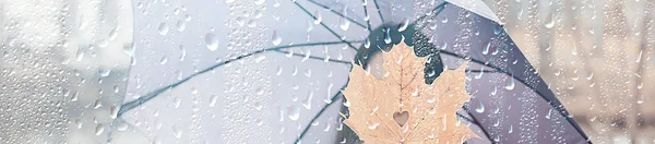 Lange Achtergrond Meisje Paraplu Horizontale Weergave Regenachtige Herfst Dag Jonge — Stockfoto