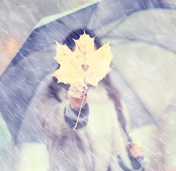 秋の葉ギフトカエデイエロー ハートから葉 コンセプト秋の表情 — ストック写真