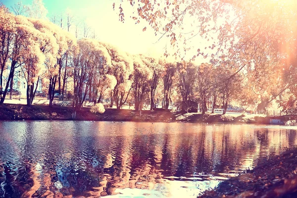 Őszi Park Táj Szezonális Őszi Táj Egy Sárga Parkban Nap — Stock Fotó