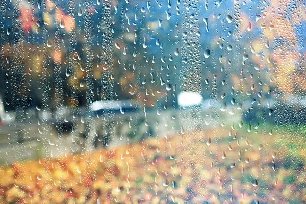 Ветви Дождевого Окна Осеннего Парка Листья Желтого Абстрактного Осеннего Фона — стоковое фото