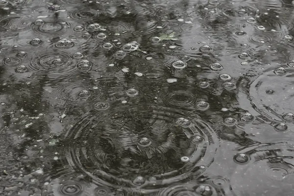 Fondo Charco Lluvia Círculos Gotas Charco Textura Con Burbujas Agua —  Fotos de Stock