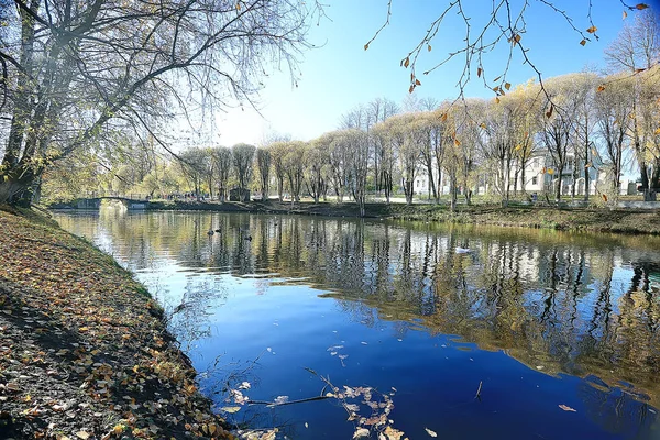 ぼやけた秋の背景公園 黄色の壁紙 秋の森 季節の風景の概念 木の枝 — ストック写真