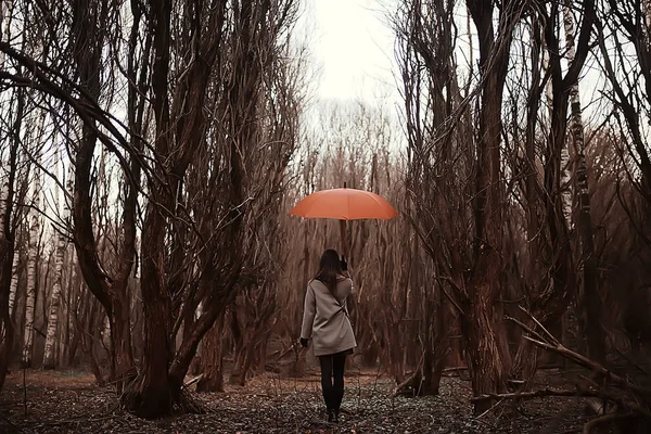 Girl Umbrella Forest Landscape Autumn View Young Woman Umbrella City — Stock Photo, Image