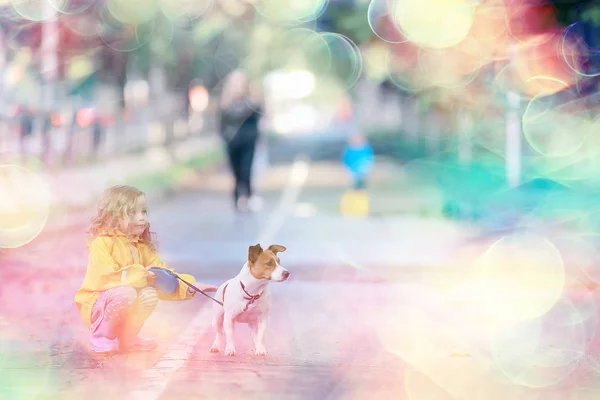 犬ジャックラッセルテリア 子供の子供時代の友情 ペット 秋の公園の散歩で小さな犬を持つ小さな女の子 — ストック写真