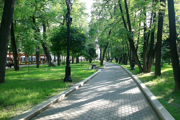 Parc Été Paysage Vue Saisonnière Arbres Verts Été Concept Nature — Photo