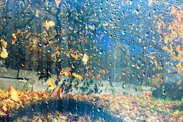 Pluie Fenêtre Automne Parc Branches Feuilles Jaune Abstrait Automne Fond — Photo