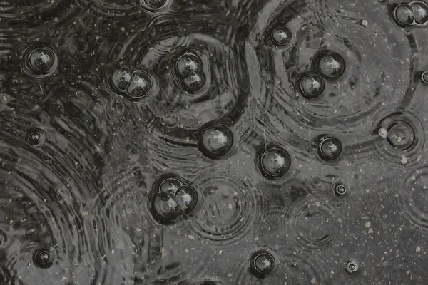 Fundo Poça Chuva Círculos Gotas Uma Poça Textura Com Bolhas — Fotografia de Stock