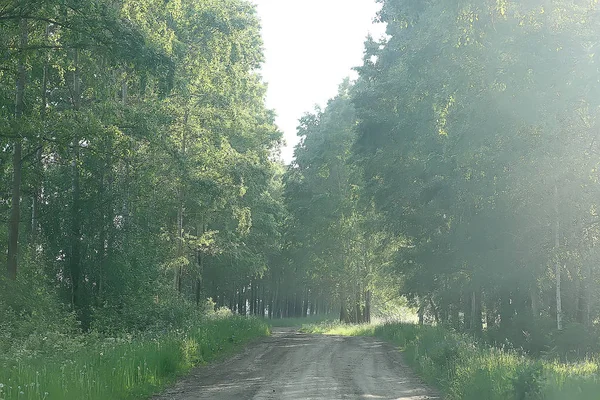 Літній Парк Пейзаж Сезонний Вид Зелені Дерева Влітку Концепція Природної — стокове фото