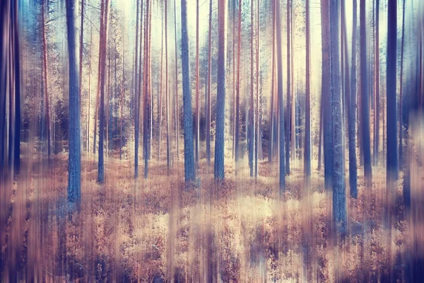 Autunno Foresta Movimento Offuscata Sfondo Morbido Giallo Natura Paesaggio Autunno — Foto Stock