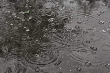 arka plan su birikintisi yağmur / daireler ve damla bir su birikintisi, suda kabarcıklar ile doku, sonbahar yağmur