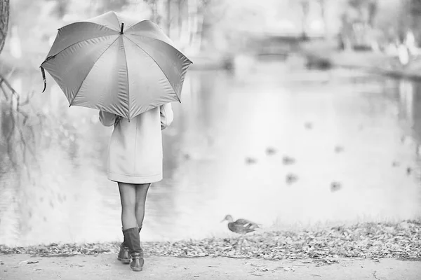 Mädchen Regenschirm Waldlandschaft Herbst Ansicht Junge Frau Mit Regenschirm Stadtpark — Stockfoto