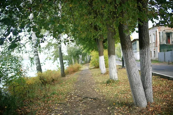 Летний Парк Пейзаж Сезонный Вид Зеленые Деревья Летом Концепция Прогулки — стоковое фото