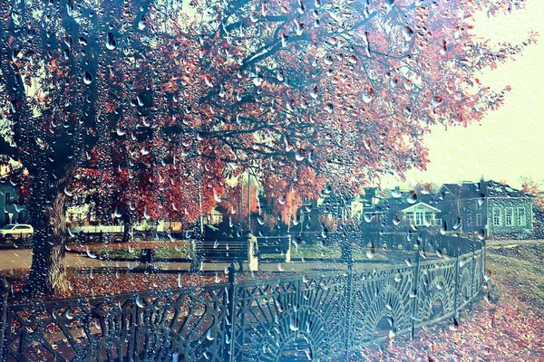 雨窓秋の公園の枝は黄色 抽象的な秋の背景 雨の窓の風景 天気10月の雨を残します — ストック写真