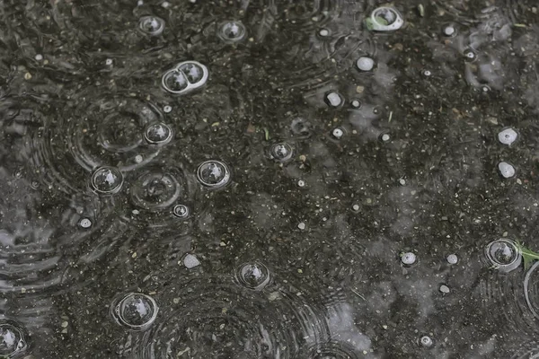 背景水坑雨 圆和滴在水坑 纹理与气泡在水中 — 图库照片