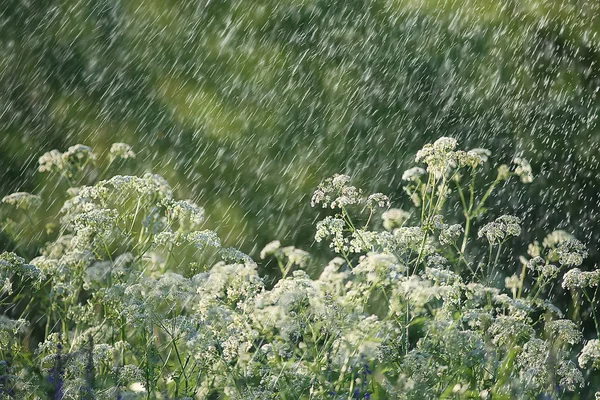 Gotas Lluvia Concepto Clima Húmedo Gotas Abstractas Chorros Agua Lluvia — Foto de Stock