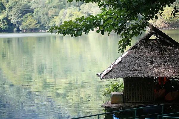 热带绿叶背景 抽象自然丛林雨林背景 — 图库照片