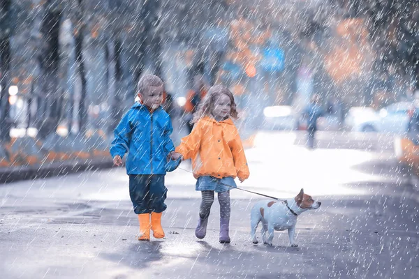 Children Dog Autumn Two Children Boy Girl Walking Small Dog — Stock Photo, Image