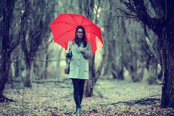 Chica Paraguas Bosque Paisaje Otoño Vista Mujer Joven Con Paraguas —  Fotos de Stock