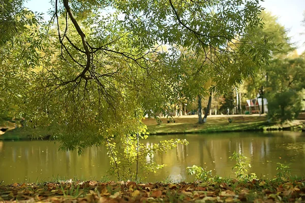 Outono Paisagem Parque Paisagem Amarela Sazonal Parque Ensolarado Com Folhas — Fotografia de Stock