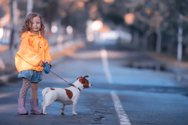 Petite Fille Avec Chien Jack Russell Terrier Enfant Amitié Enfance — Photo