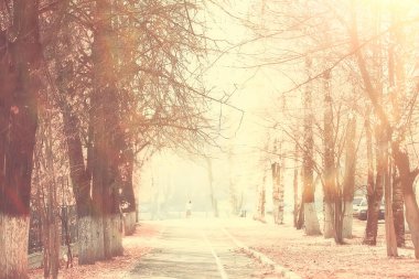 sarı bir parkta sonbahar parkı güneş manzara / mevsimlik sonbahar manzara, Ekim ayında gün batımında güneş ışınları