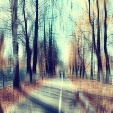 parkta sonbahar manzara / mevsimlik sarı manzara düşmüş yaprakları ile güneşli park