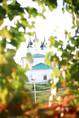 sonbahar ağaçlarının dalları / soyut arka plan, sonbahar manzara, gökyüzünde ağaçlar üzerinde sarı yapraklar bakmak