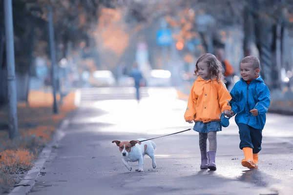 Enfants Chien Automne Deux Enfants Garçon Une Fille Marchant Avec — Photo