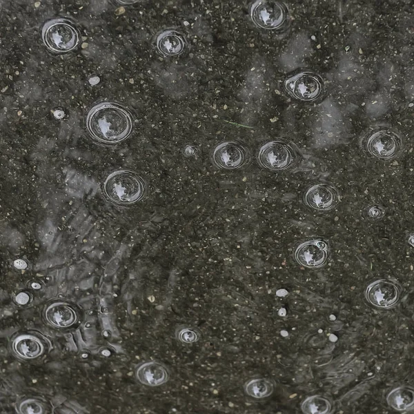 Fundo Poça Chuva Círculos Gotas Uma Poça Textura Com Bolhas — Fotografia de Stock