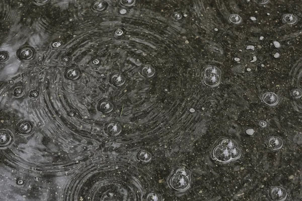 นหล งสระน าฝน วงกลมและลดลงในสระน อเย ฟองในน ฝนฤด ใบไม — ภาพถ่ายสต็อก