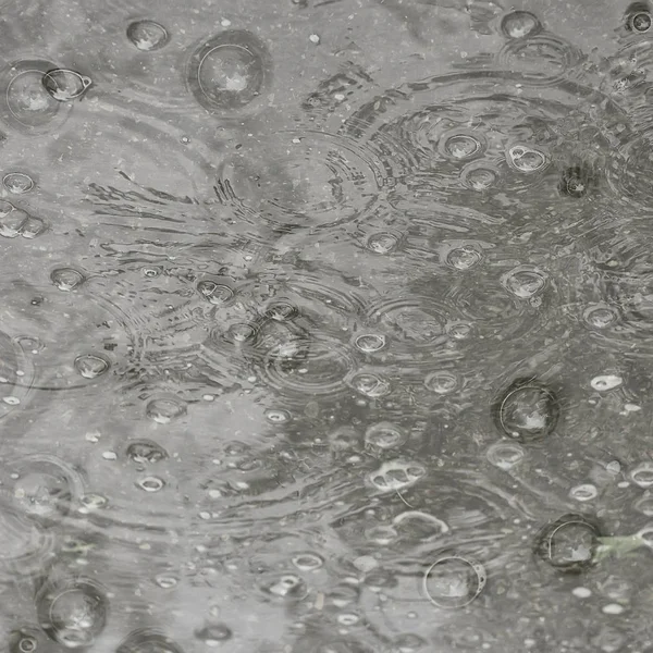 Fondo Charco Lluvia Círculos Gotas Charco Textura Con Burbujas Agua —  Fotos de Stock