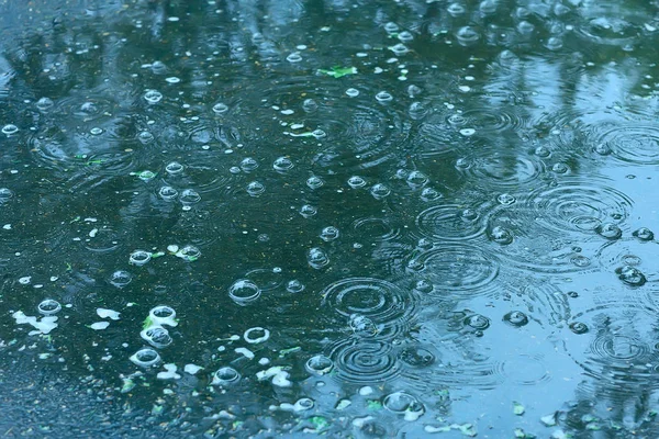Blauer Hintergrund Pfütze Aus Regen Regentropfen Kreise Auf Einer Pfütze — Stockfoto