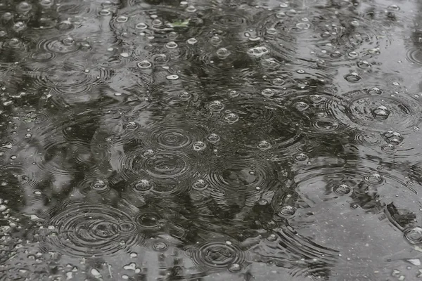 背景水たまり雨 円や水たまりの中に滴 水の中の泡とテクスチャ 秋の雨 — ストック写真