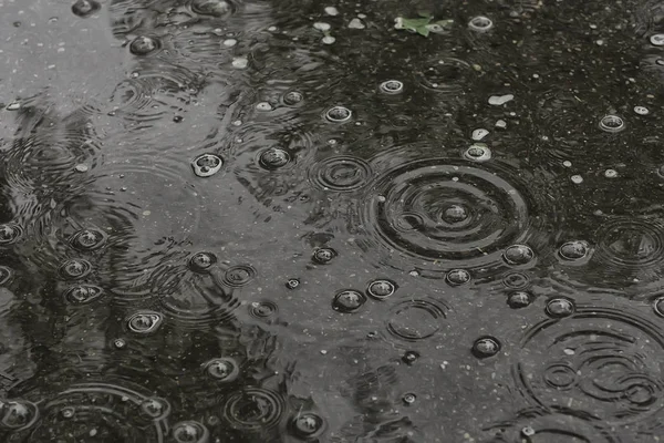 Achtergrond Plas Regen Cirkels Druppels Een Plas Textuur Met Bubbels — Stockfoto